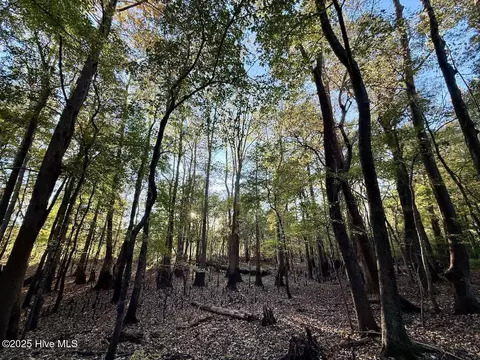 247 Quitsna Rd, Windsor, NC 27983 photo 20