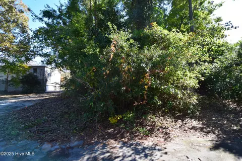 246 Shoreline Dr, New Bern, NC 28562