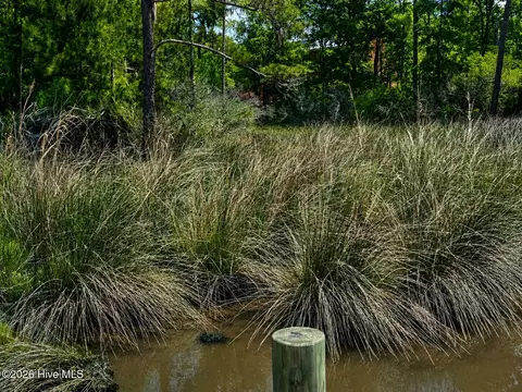 408 Tarpon Pointe Rd, Bath, NC 27808 photo 4