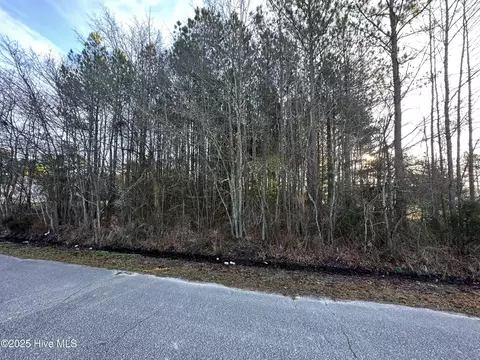 tbd Pine St, Conway, NC 27820 photo 3