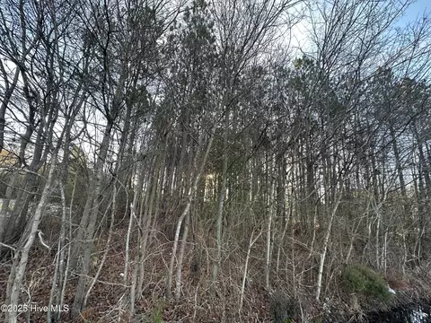 tbd Pine St, Conway, NC 27820 photo 2