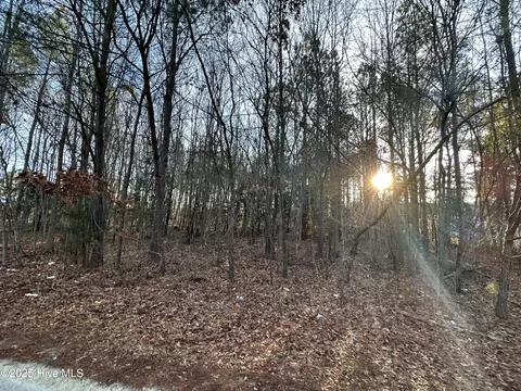 tbd Pine St, Conway, NC 27820 photo 3