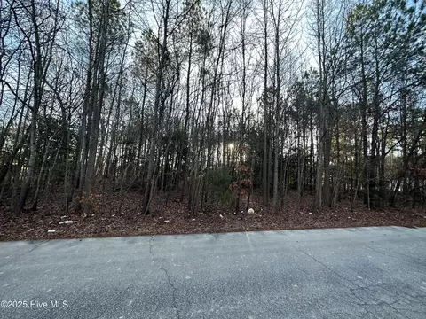 tbd Pine St, Conway, NC 27820 photo 2