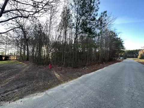 tbd Pine St, Conway, NC 27820