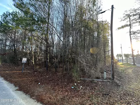 tbd Pine St, Conway, NC 27820 photo 4