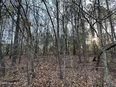 tbd Pine St, Conway, NC 27820 photo 5