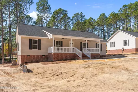 Exterior - 215 Beech St, Hamlet, NC 28345 photo 10 of 10