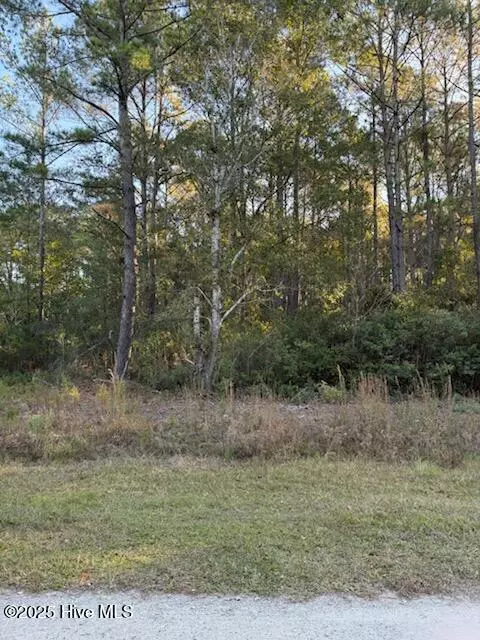 1565 Driftwood Dr SW, Ocean Isle Beach, NC 28469