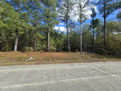 tbd Sturdivant Dr, Rockingham, NC 28379
