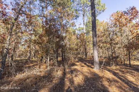 465 Roundabout Rd, Carthage, NC 28327