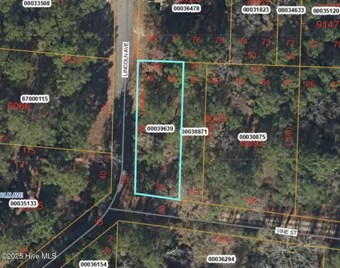 tbd Lincoln Ave, Vass, NC 28394