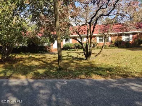 Exterior - 33 Gapway Rd, Fair Bluff, NC 28439 photo 23 of 34