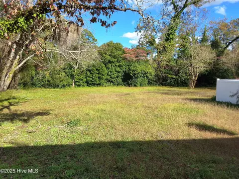 Exterior - 33 Gapway Rd, Fair Bluff, NC 28439 photo 19 of 34