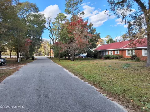 Exterior - 33 Gapway Rd, Fair Bluff, NC 28439 photo 34 of 34