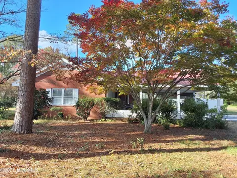 Other - 33 Gapway Rd, Fair Bluff, NC 28439 photo 13 of 23