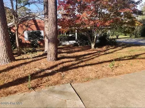 Other - 33 Gapway Rd, Fair Bluff, NC 28439 photo 23 of 23