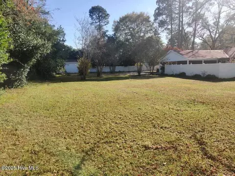 Exterior - 33 Gapway Rd, Fair Bluff, NC 28439 photo 28 of 34