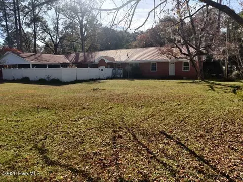 Exterior - 33 Gapway Rd, Fair Bluff, NC 28439 photo 29 of 34