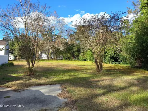 Exterior - 33 Gapway Rd, Fair Bluff, NC 28439 photo 9 of 34