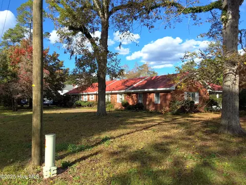 Exterior - 33 Gapway Rd, Fair Bluff, NC 28439 photo 3 of 34