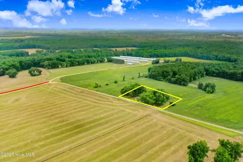 180 Oliver Herring Rd, Mount Olive, NC 28365 photo 23