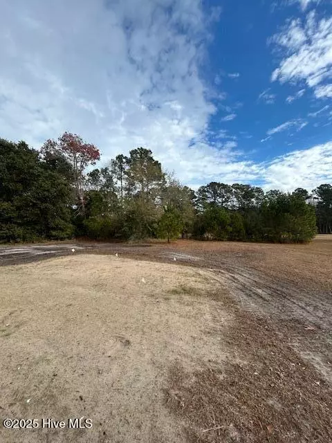 000 Hwy 50, Maple Hill, NC 28454