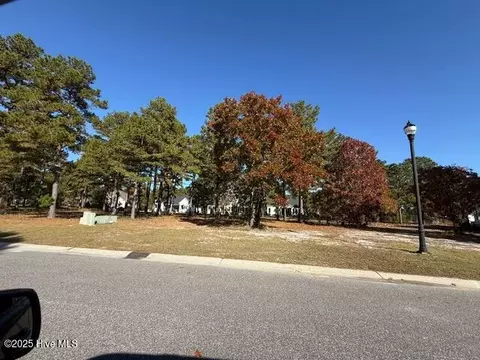 3808 Silver Melon Rd NE, Leland, NC 28451