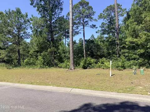 3808 Silver Melon Rd NE, Leland, NC 28451