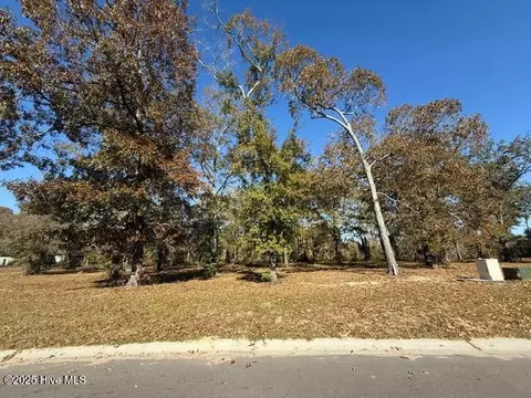 3805 River Park Way NE, Leland, NC 28451