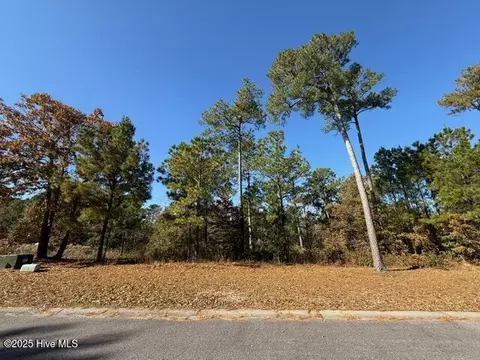3864 River Park Way NE, Leland, NC 28451