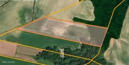 4 Thunder Swamp Road, Mount Olive, NC 28365