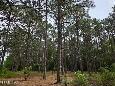 00 Patton St, Hamlet, NC 28345 photo 2