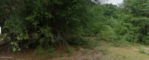 00 Patton St, Hamlet, NC 28345 photo 3