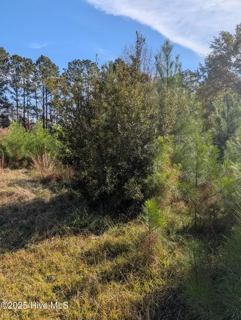 749 Highway 172, Hubert, NC 28539