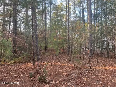 00 Mckenzie Ln, Aberdeen, NC 28315