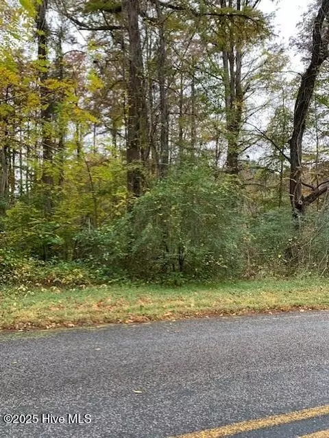 tbd Swains Mill Rd, Harrellsville, NC 27942