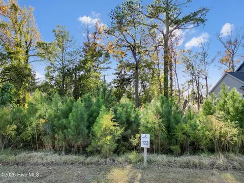 344 Preservation Point Ave, Wilmington, NC 28401