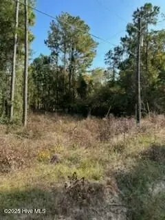 169 Point Rd, Newport, NC 28570