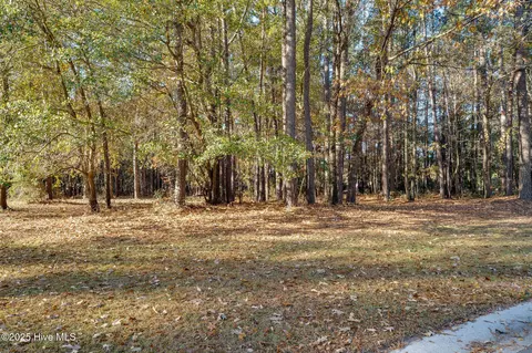 266 Red Fox Run Dr, Wallace, NC 28466 photo 2