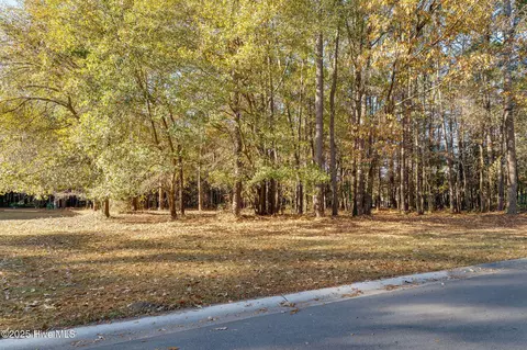 266 Red Fox Run Dr, Wallace, NC 28466 photo 3