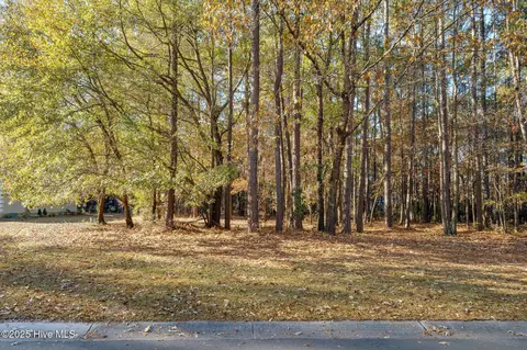 266 Red Fox Run Dr, Wallace, NC 28466