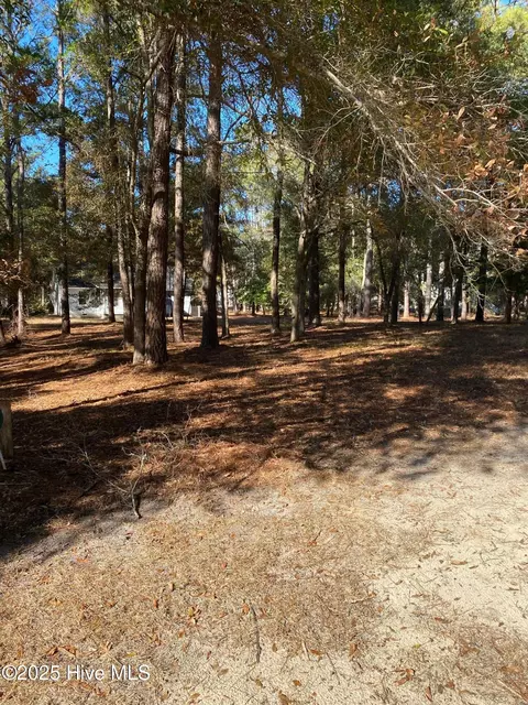 664 Cypress Grove Ct SE, Bolivia, NC 28422