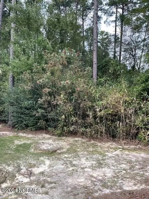 5 Raintree Ct, Pinehurst, NC 28374 photo 2