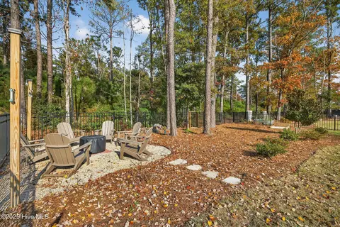 741 Jenoa Loop, Castle Hayne, NC 28429 photo 49