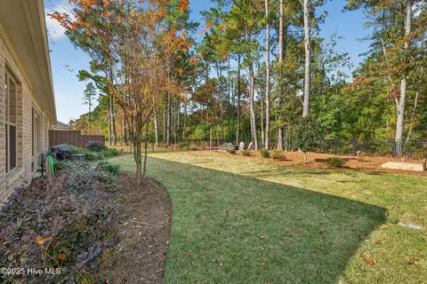 741 Jenoa Loop, Castle Hayne, NC 28429 photo 45