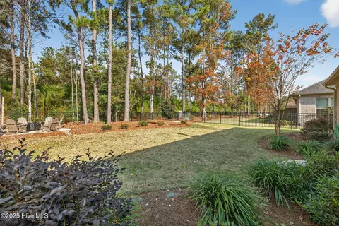 741 Jenoa Loop, Castle Hayne, NC 28429 photo 50