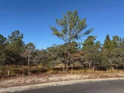 495 Antilla Dr SE, Bolivia, NC 28422