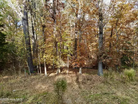 0 Williams Rd, Williamston, NC 27892 photo 9