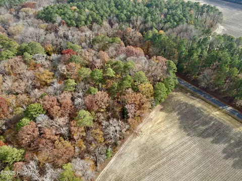0 Williams Rd, Williamston, NC 27892 photo 6