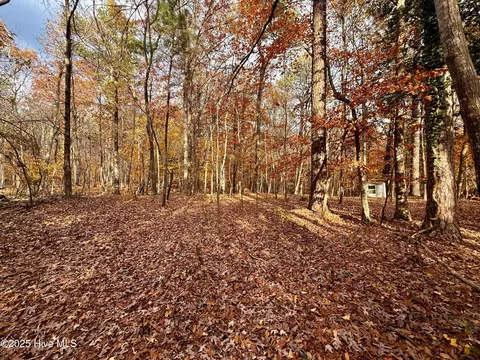 0 Williams Rd, Williamston, NC 27892 photo 14